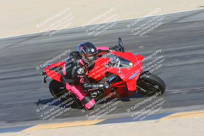 media/Jan-13-2025-Ducati Revs (Mon) [[8d64cb47d9]]/3-B Group/Session 5  (Turn 10 Inside)/